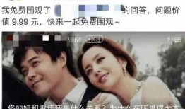 国内吃瓜爆料黑料 明星大侦探第一季,吃瓜爆料背后的真相